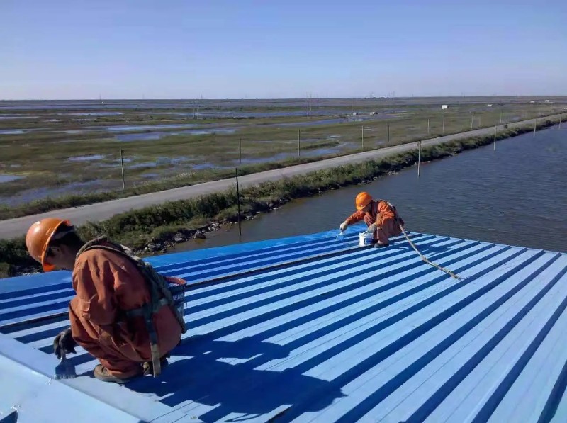 九湖镇彩钢瓦屋面防腐翻新